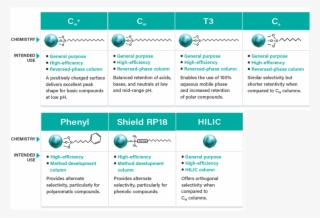 Cortecs Column Characteristics - Waters Phenyl Column