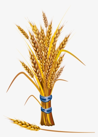 Symbol Of A - Cereals Illustration Png