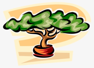 Vector Illustration Of Exotic Miniature Bonsai Tree - Illustration