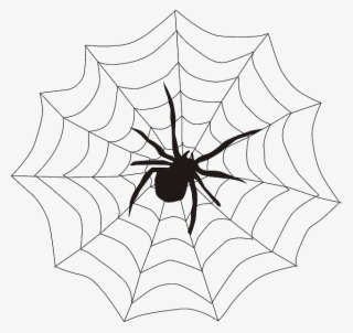 Spider In A Web Drawing