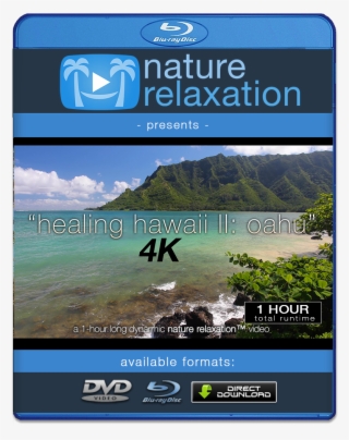 An Error Occurred - 4k Resolution