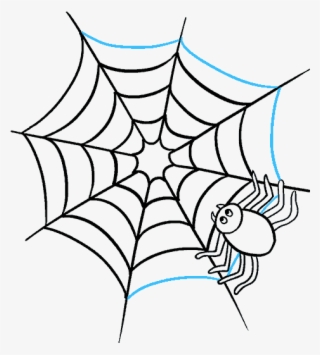 How To Draw Spider Web With Spider - Spider Web