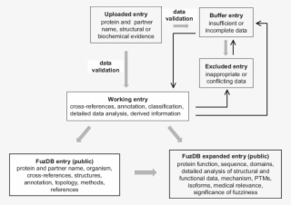 The Flowchart Of Fuzdb Data Processing - Diagram