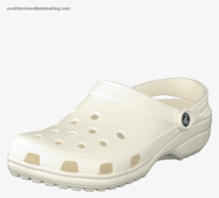 Men's Crocs Classic White - Slip-on Shoe