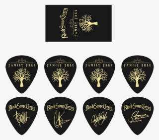 Bsc Guitar Picks - Black Stone Cherry Between