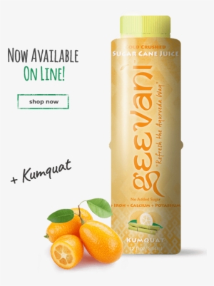 Info Helthebrands - Juice