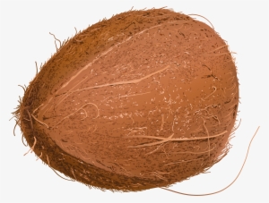 Tropics Clipart Coconut Juice - Кокос Пнг