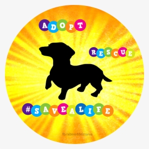 Rescue - Dachshund Silhouette