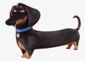 Clip Royalty Free C Pinterest Secret Life - Secret Life Of Pets Ivan