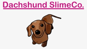 Hi, And Welcome To Dachshund Slimeco I'm Reese And