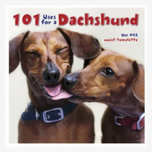 “101 Uses For A Dachshund” Picture Book
