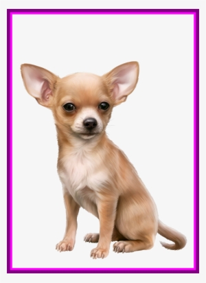 Amazing A Vector Illustration Of Different Dog - Chihuahua Clip Art