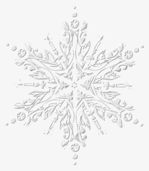 Etoile-epice24 - Copos De Nieve Frozen Vector Png
