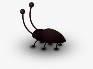 Cockroach Png