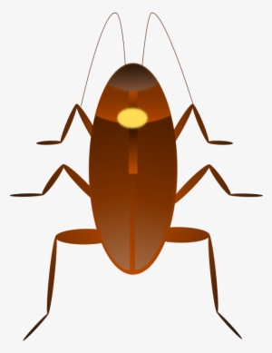 Kecoa Vector