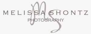 Photography