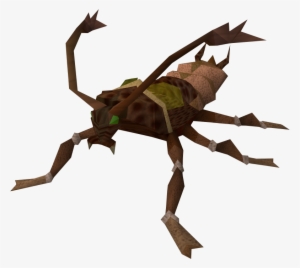 Runescape Cockroach