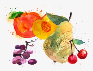 It Is Stored In A Cool & Shady Part Of The Refrigerator - Art Print: Anna42f's Fruit Watercolor Peach, Raspberry,