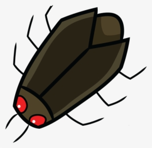 Cockroach - Boisea Trivittata