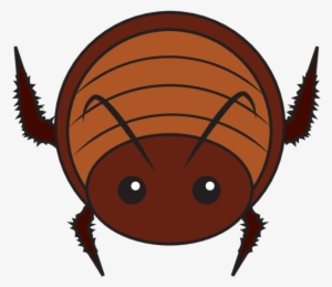 Animaru Cockroach - Portable Network Graphics
