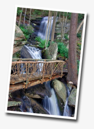 Photos Fall Creek Falls - Fall Creek Falls State Park