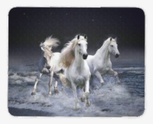 Three White Horses - Manipulation Backgrounds Full Hd