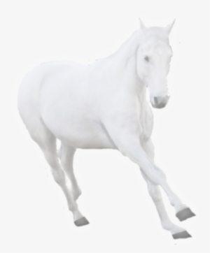 Ghost Horse Pre Cut By Sydsanchorlessstudio On Deviantart - Ghost Horse Png
