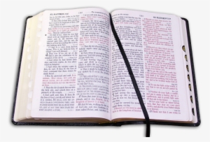 Interactive Study Tools Vector Library Stock - Png Bible