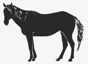 Free Clipart Of A Horse - Shadow Of Horse Drawings