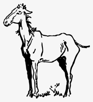 This Free Icons Png Design Of Old Horse