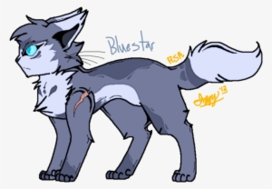 Warrior Cats - Bluestar - - - Warrior Cats Bluestar - 772x533 PNG ...