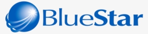 Bluestar Case Solutions Provides Comprehensive Discovery - Graphic Design