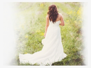 Kimmel Wedding Gowns Wedding Gown Alterations, Gown - Wedding Dress