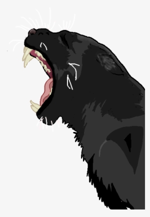 Panther Drawing Png Image Black And White Download - Panther Drawing Png