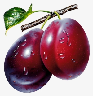Prunes Clipart Picture Fruit Picture, Png Photo, Watercolor - Plum Png