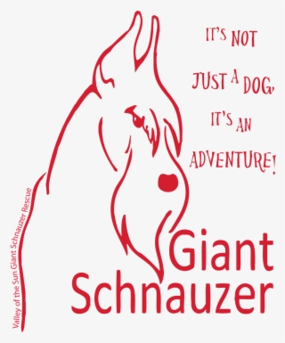 Lg Deluxe Cotton Tote 19"x15"x6"<br> Valley Of The