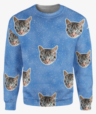 Domestic Short-haired Cat