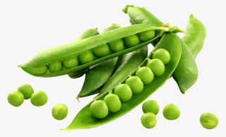 Peas Png - English Pea Snow Pea