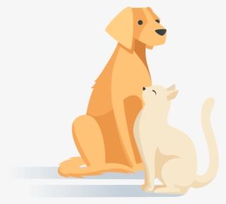 Pets - Golden Retriever