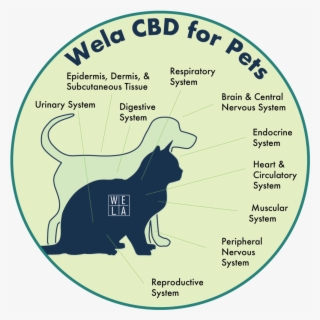 Wela Cbd For Pets - Circle