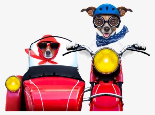 Hand Painted Dog Pet Png - 30 Jahre Geburtstag Motorrad