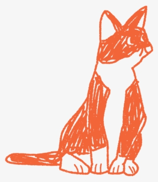 Pets