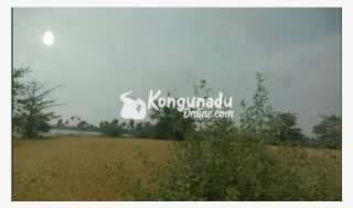 Cent 65000, 50 Cent For Sale, Dharapuram - Tree