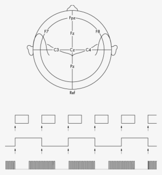 Frequency Spectrum Of Clarinet Tone, Fundamental Frequency - Spectral Clarinet