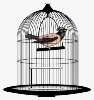Bird Cage Png Transparent Image - Bird In Cage Png