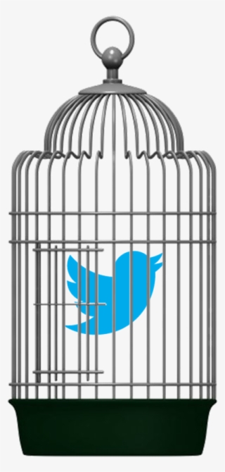 Twitter Bird In A Bird Cage - Budgies Think