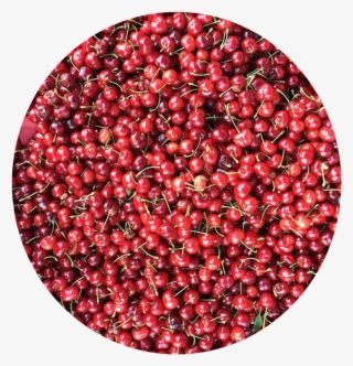 Cerezas Fruit Natural Red Frutas - Lingonberry