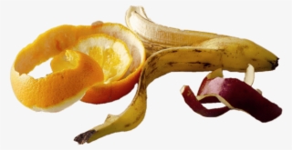 Piel De Frutas - Fruit Peels