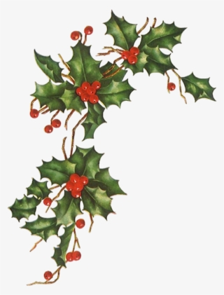 Report Abuse - Vintage Christmas Flowers