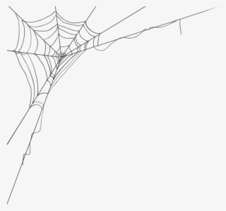 0, - Cartoon Spider Web Png